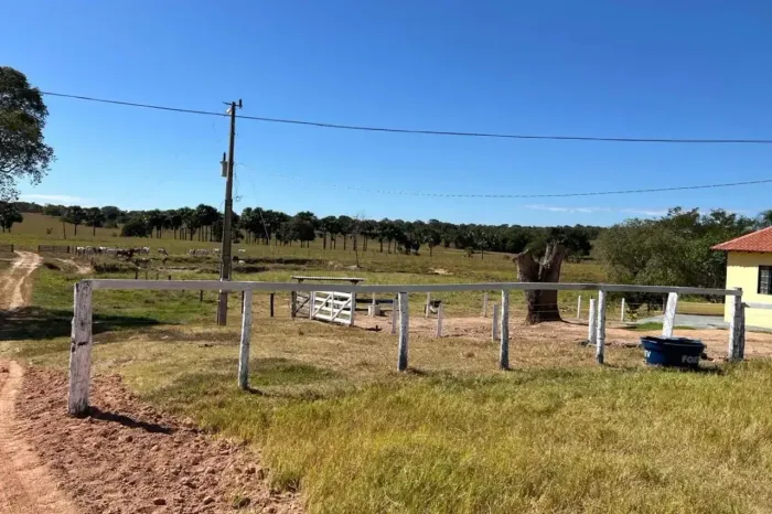 Fazenda para Venda na Região Próxima à Avenida Professor Pedro Gomes, Q - Goiás