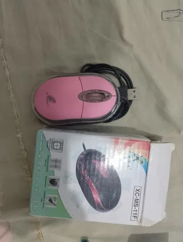 Mouse 
