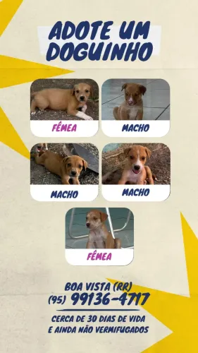 Doação