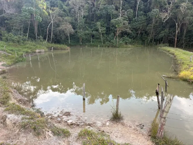 FAZENDA 20HC EM RIO MANSO.