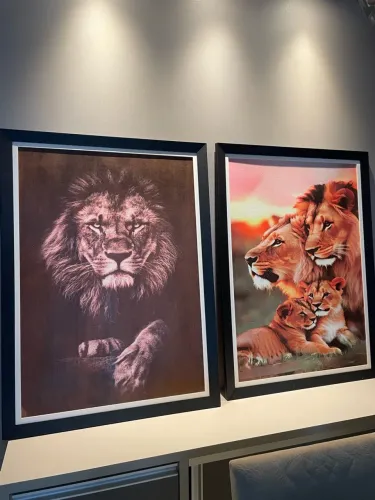 Quadros