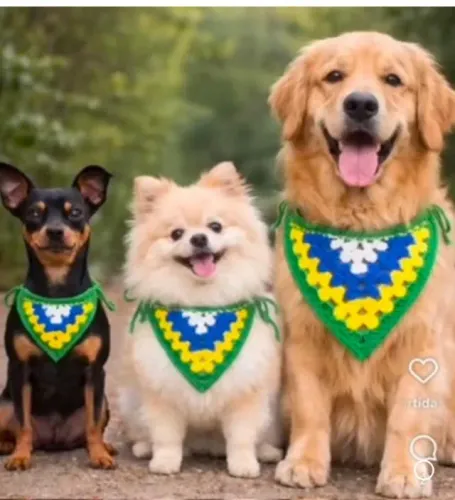 Bandana Brasil para seu PET - Copa com estilo na companhia de seu melhor amigo - BH