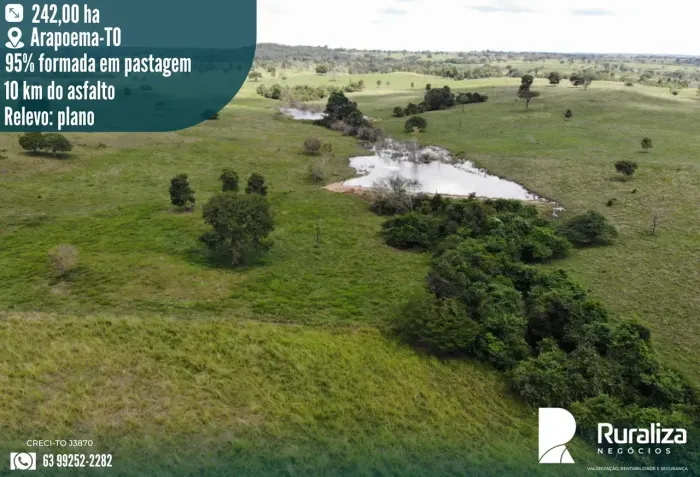 50 ALQUEIRES | 230 HA FORMADOS | R$ 6 MILHÕES