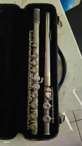 Flauta transversal