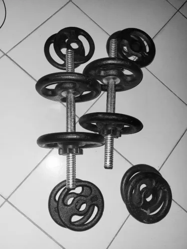 Halteres - 24kg no total