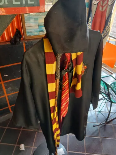 Fantasia oficial Harry Potter completa