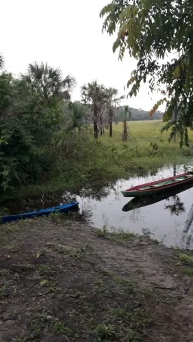 Sítio no igarapé do lago