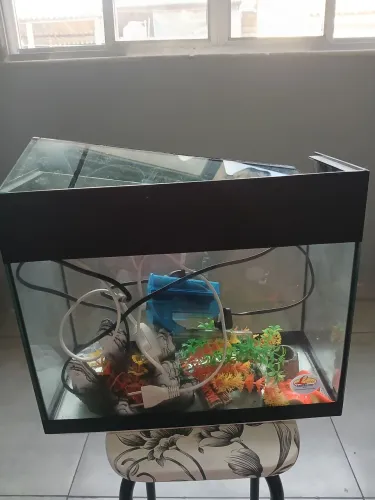 Vende-se aquário semi novo