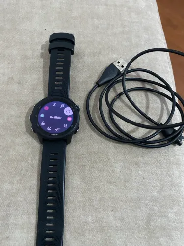 Garmin 245
