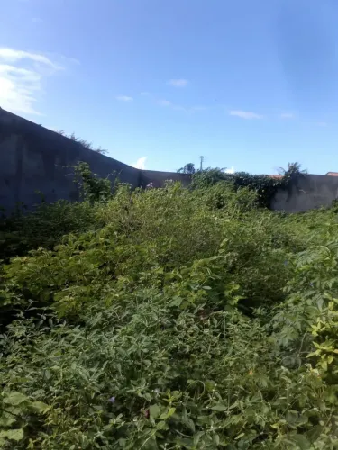 Terreno para capinar 