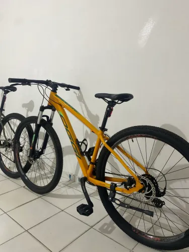Bicicleta oggi