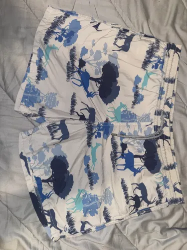 Vilebrequin Shorts