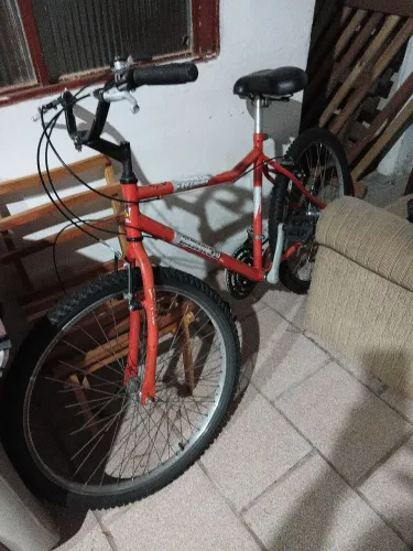 Bicicleta adulto 