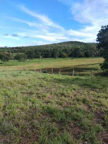 Fazenda em Jaú do Tocantins