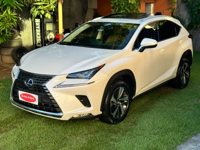 Lexus NX-300 H Luxury 2.5 16V Aut. 2019