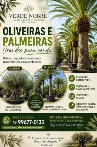 Vendas plantas ornamental e frutíferas