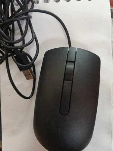 13 mouse da Dell