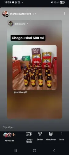 Cerveja 600 ml skol