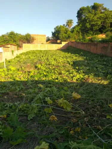 Terreno no centro de Uruçuí/ Piauí 