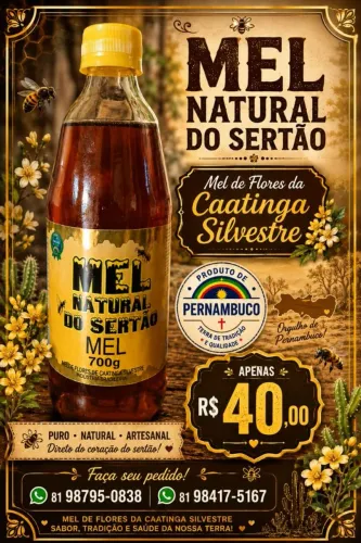 Mel 100% Puro - Extraído Da Caatinga Silvestre