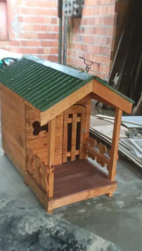 Casa do dog 