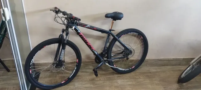Bicicleta adulto