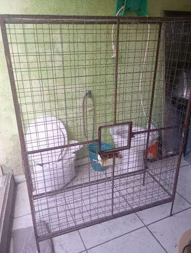 Vendo Gaiola de Ferro