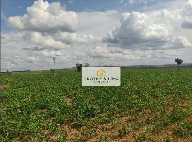 Fazenda à venda, 7600 hectares por R$ 450.000.000 -São Luís/MA