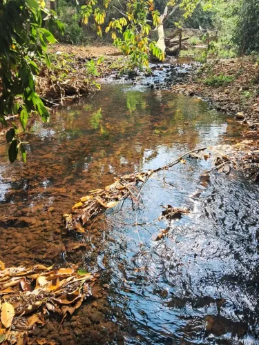 fazenda vila Amanda Baldim