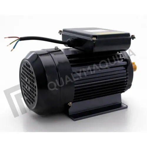 Motor Lynus Monofásico 0,5 cv - 4 Pólos Blindado  1712 rpm (Baixa rotação) 110/220 Volts