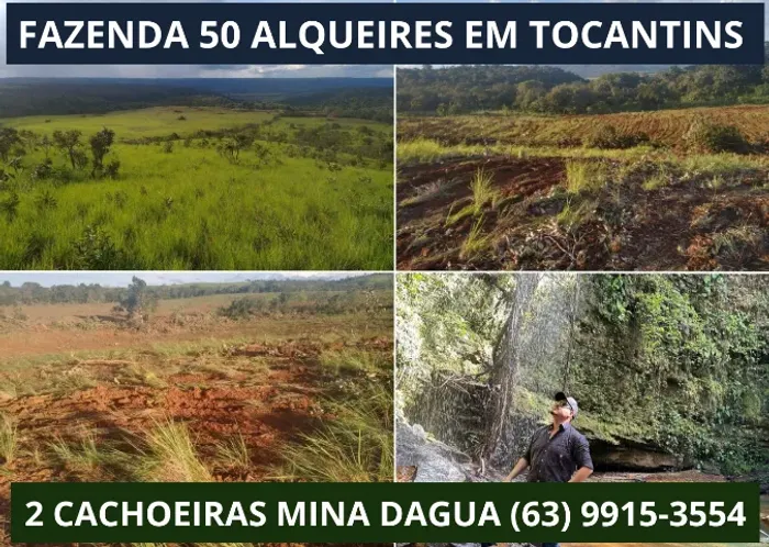 Fazenda Linda, Lavoura, Platanção, Soja, Cana, Canavial, Cercada, Chacara, Chácara, Roça