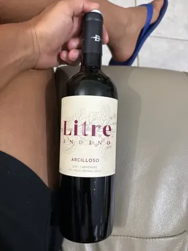 Litre Andino Arcilloso Carménère 2021 , Vinho tinto de Central Valley, Chile
