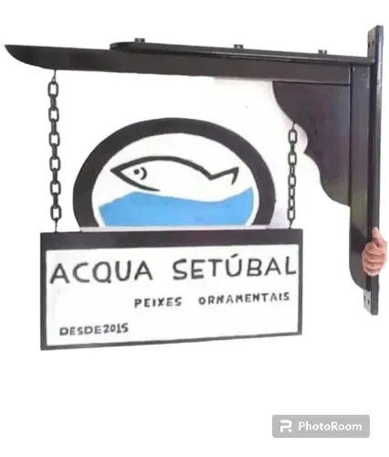 Placas madeira logo