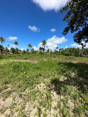 ((CM)) Área C/8 Hectares em Tejucupapo em Goiana(área urbana)