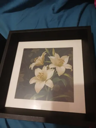 6 quadros de parede com paisagem e flores 
