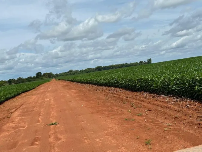 R$800 Milhões Fazenda à venda 13.300 ha em Confresa-MT