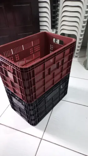 Caixa de Plástico Hortifrut para Transporte