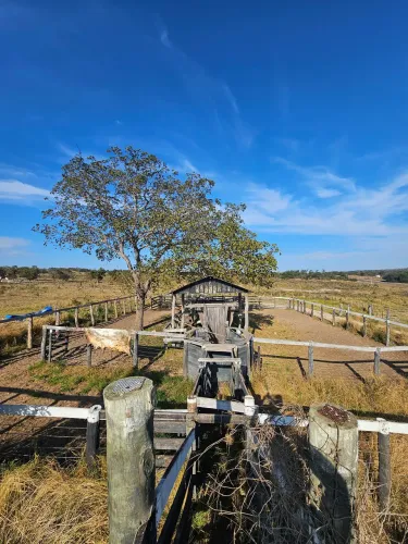 Chácara 96 hectares, muito bem localizada, na beira do asfalto. Rio Verde - MS!