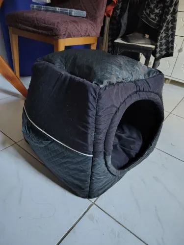 Casinha para pet