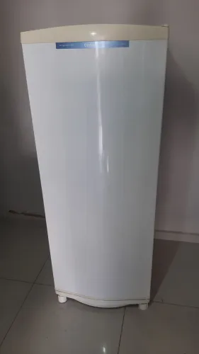 Consul 275 litros degelo seco
