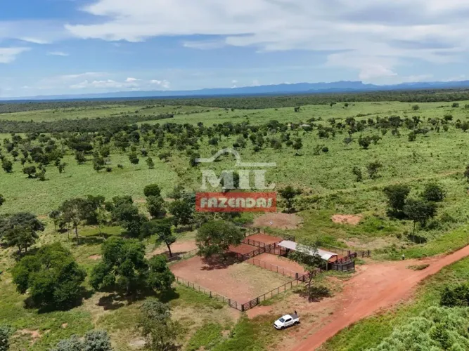 Fazenda 368 alqueires ( 1.782,72 hectares ) Paranã-TO