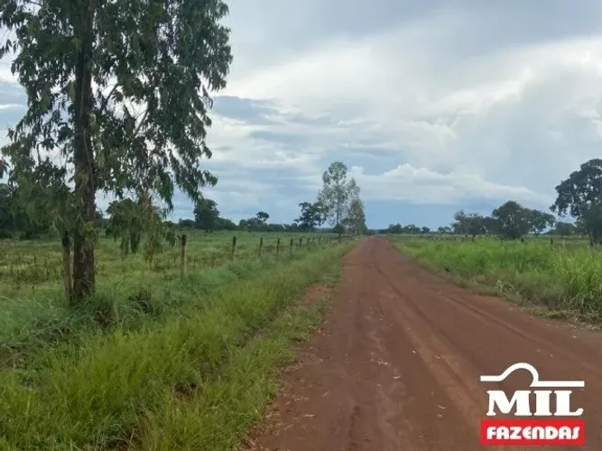 Fazenda a 150 km Palmas. . 380 Alq. (1.839 Há). Vale do Araguaia