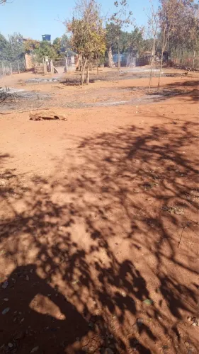 VENDO CHÁCARA EM GLAUCILÂNDIA