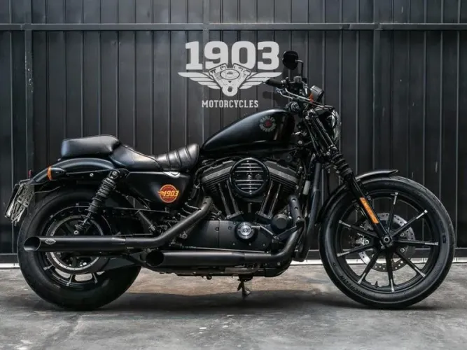 HARLEY-DAVIDSON XL883N 2019