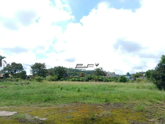 Excelentes Lotes de 1.000m² (20x50) Venda em Palmeiras - Suzano.