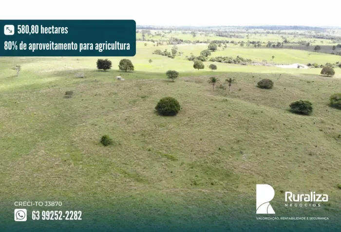 50 ALQUEIRES | 230 HA FORMADOS | R$ 6 MILHÕES