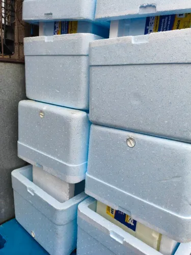 Caixas de isopor