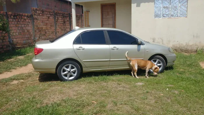 Toyota Corolla XLI 1.6 16V 110cv Aut. 2003