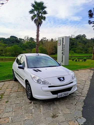 Peugeot 207 Blue Lion 1.4 Flex 8V 5P 2013
