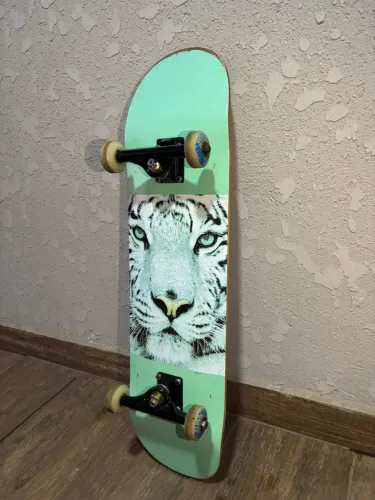 Skate profissional